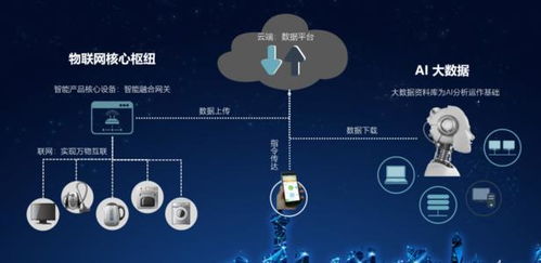 阿里巴巴宣布 将投100亿